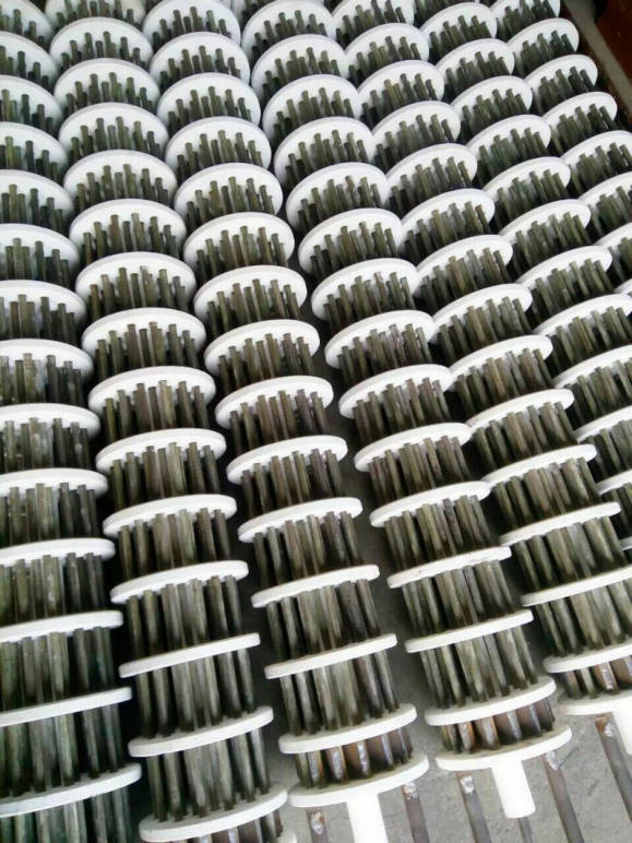 �Ͼ��Ƿ�-ʯӢ��